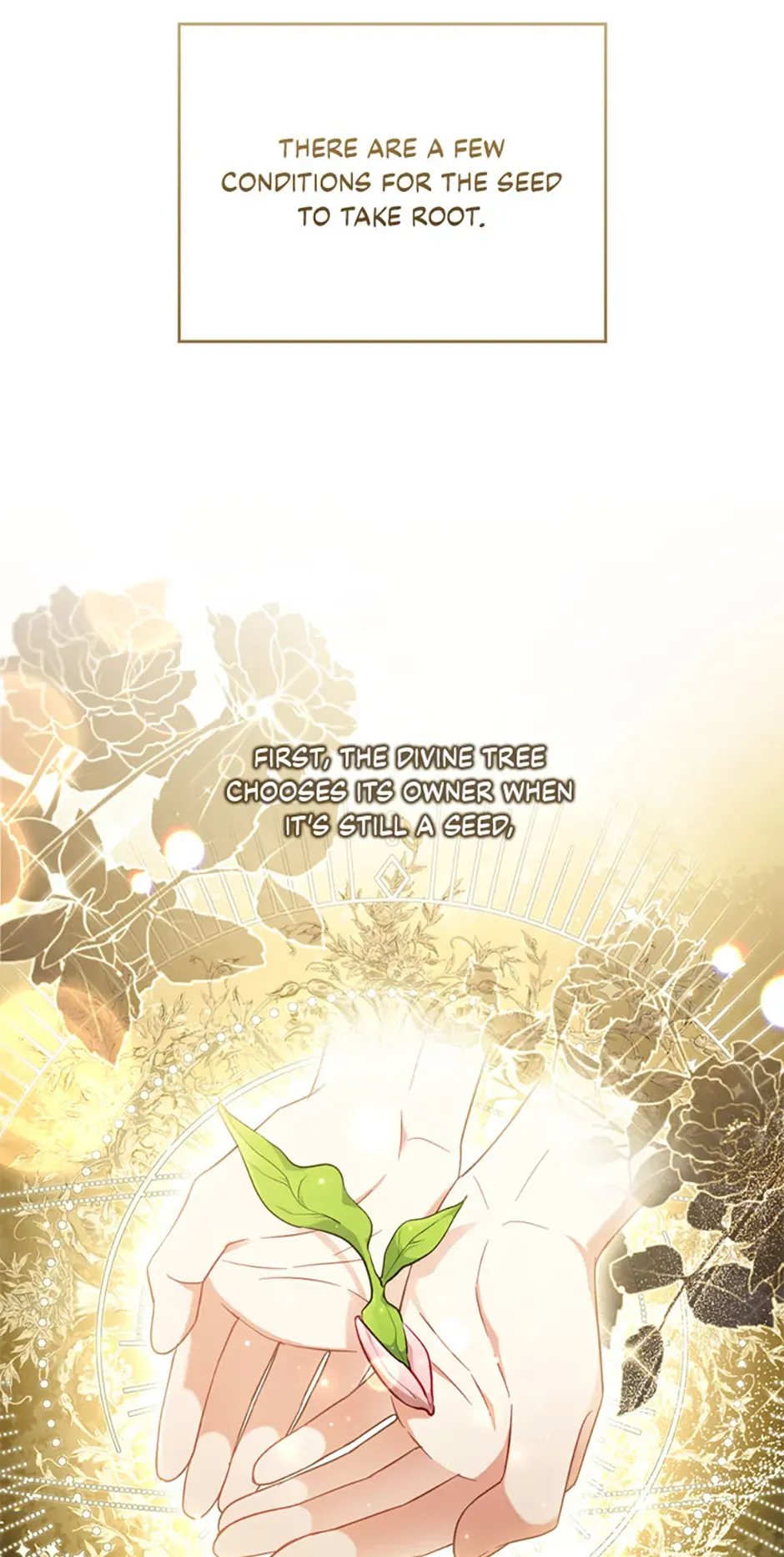 I Was Seduced by the Sick Male Lead Chapter 80 Online - página 24