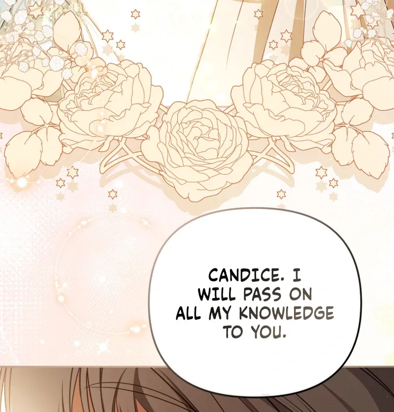 I Will Pay the Price for Deceiving You With My Life Chapter 23 Online - página 66