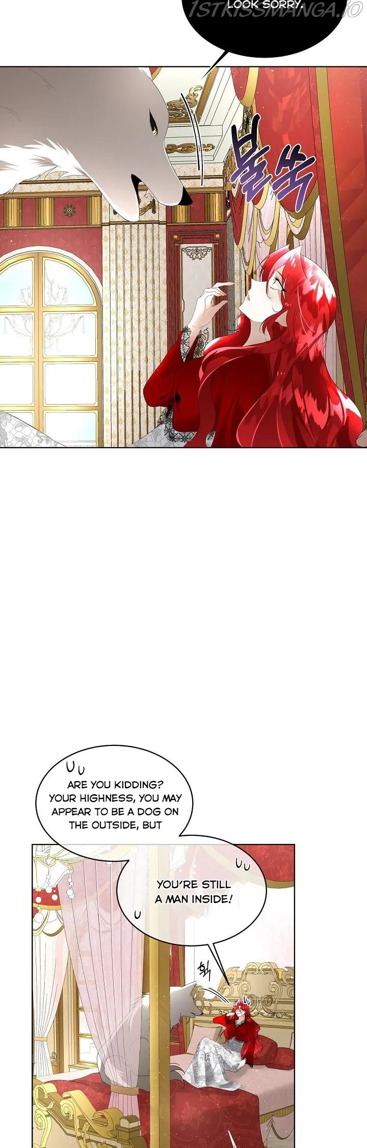 I will temporarily protect the male lead Chapter 11 Online - página 14