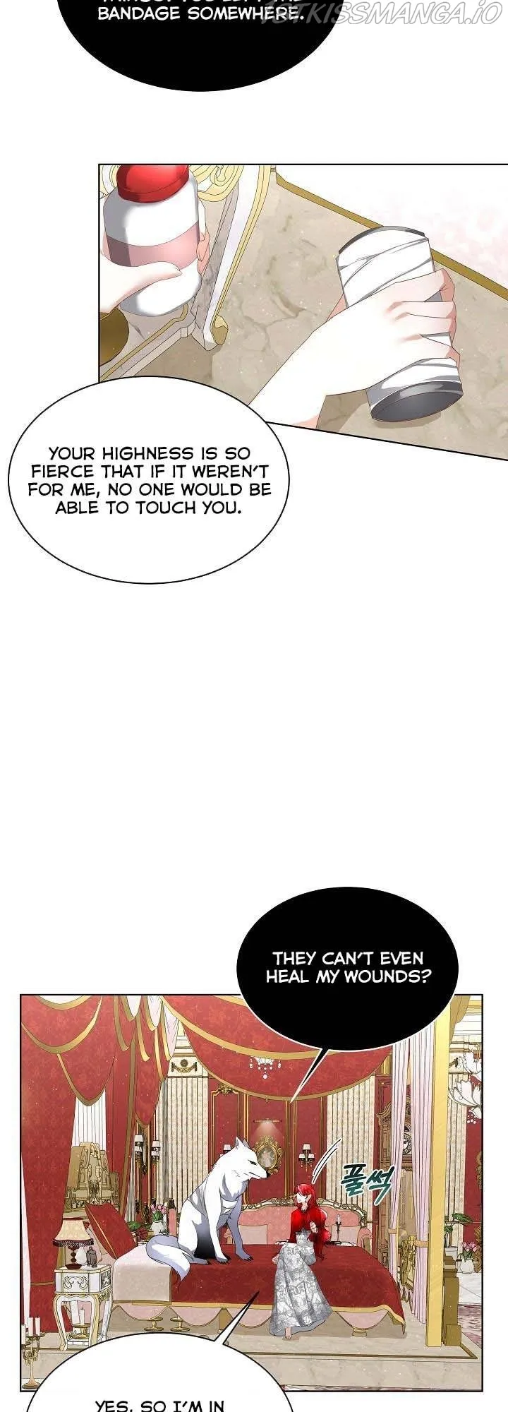 I will temporarily protect the male lead Chapter 12 Online - página 14