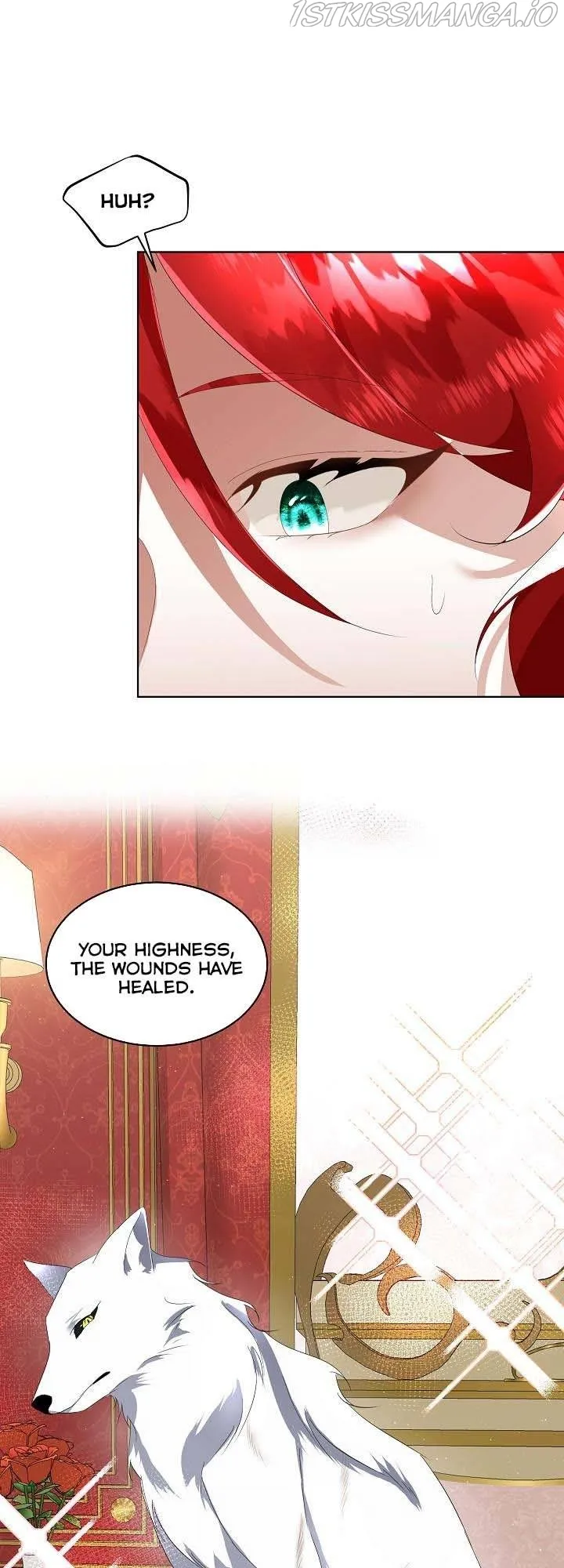 I will temporarily protect the male lead Chapter 12 Online - página 16