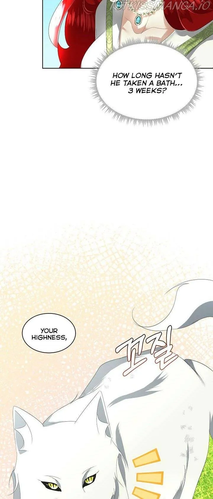 I will temporarily protect the male lead Chapter 12 Online - página 40