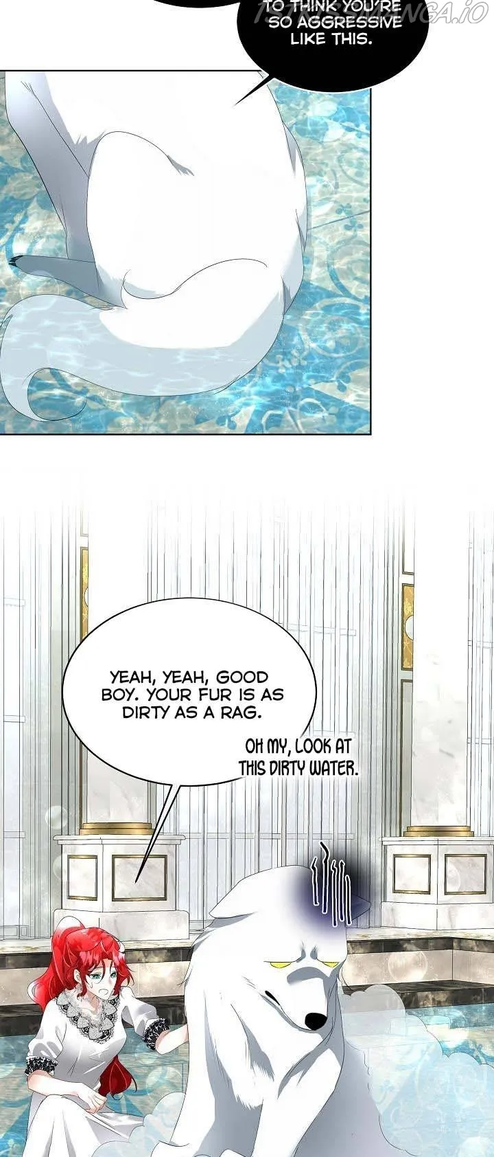 I will temporarily protect the male lead Chapter 12 Online - página 43