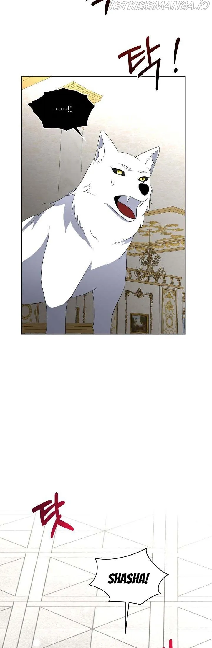 I will temporarily protect the male lead Chapter 19 Online - página 24
