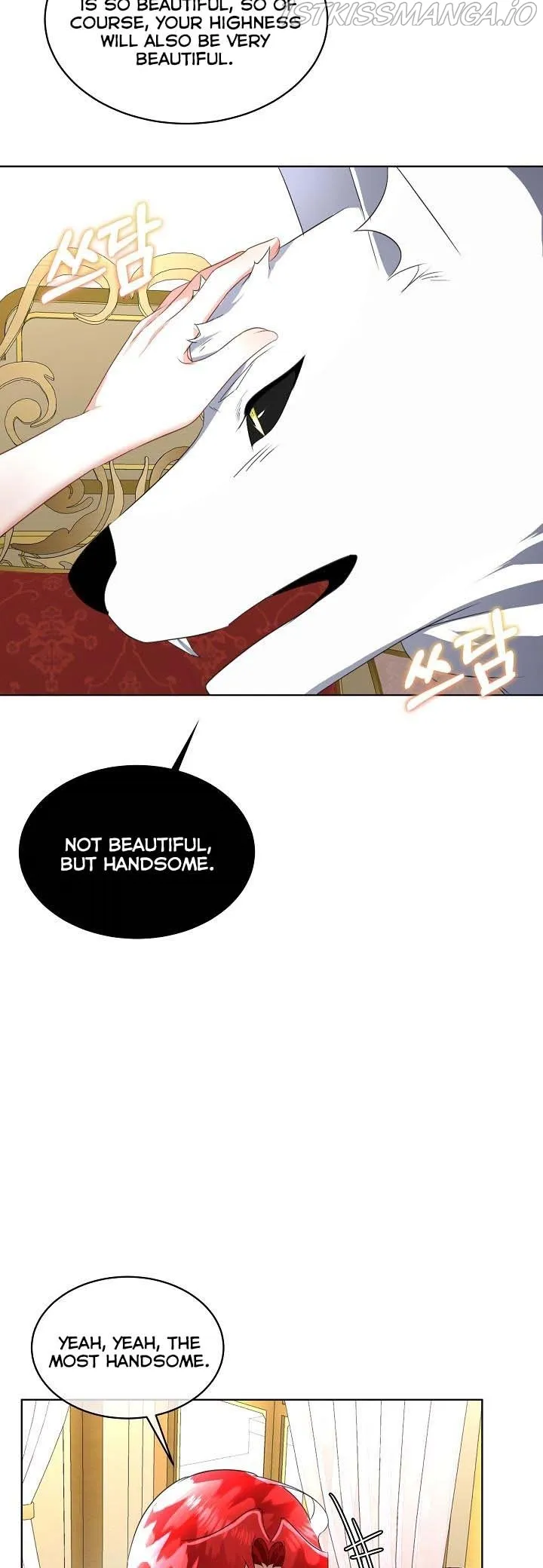 I will temporarily protect the male lead Chapter 19 Online - página 43