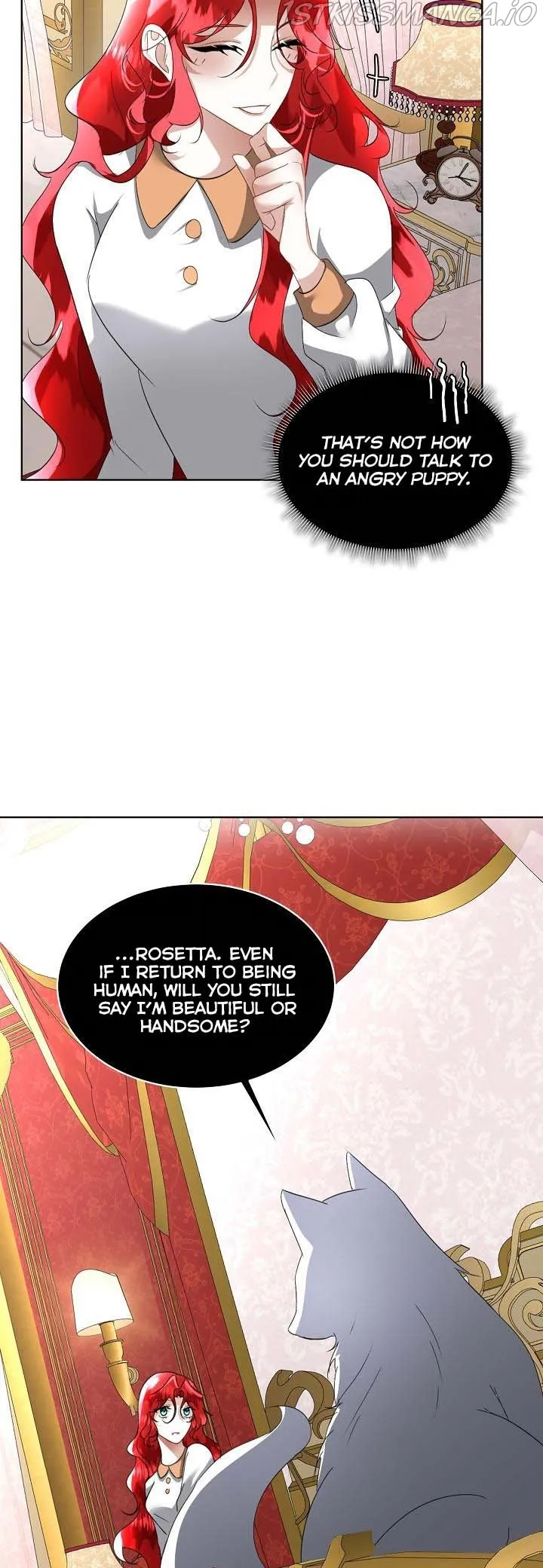 I will temporarily protect the male lead Chapter 19 Online - página 44