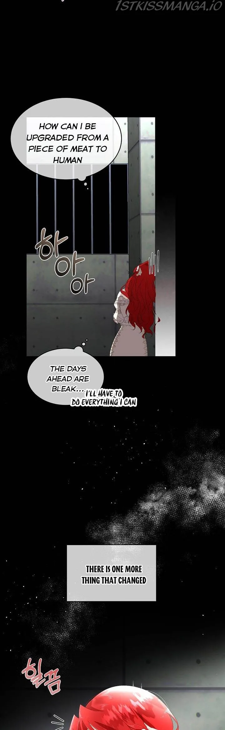 I will temporarily protect the male lead Chapter 2 Online - página 11