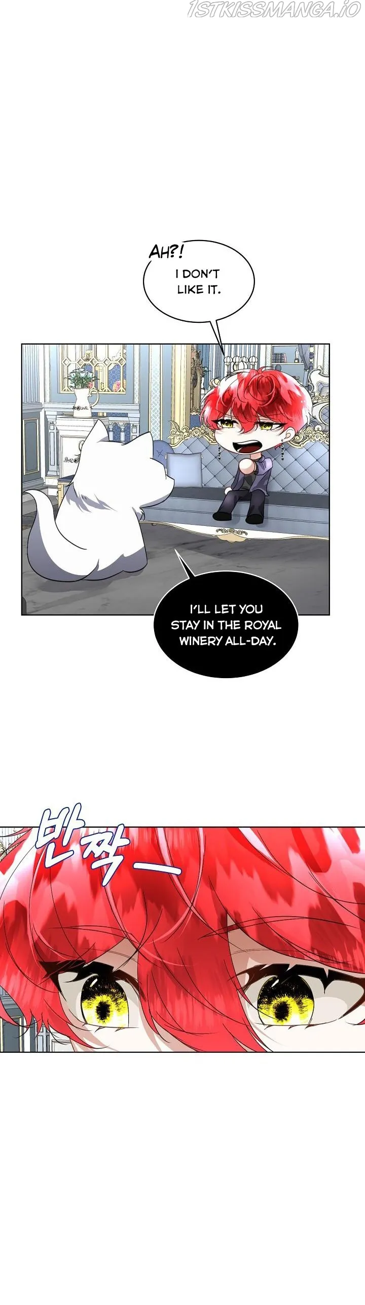 I will temporarily protect the male lead Chapter 20 Online - página 16