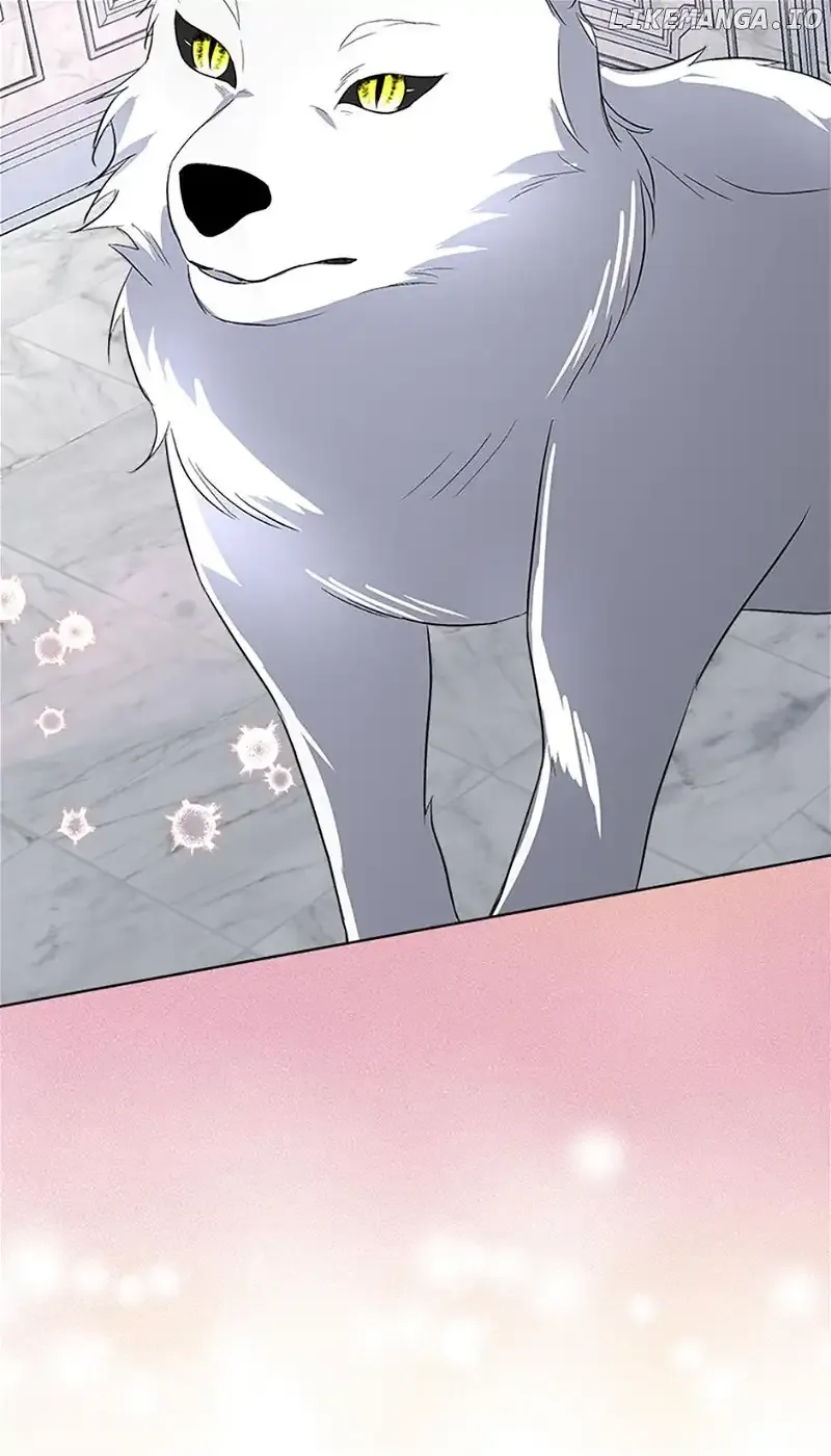 I will temporarily protect the male lead Chapter 45 Online - página 46