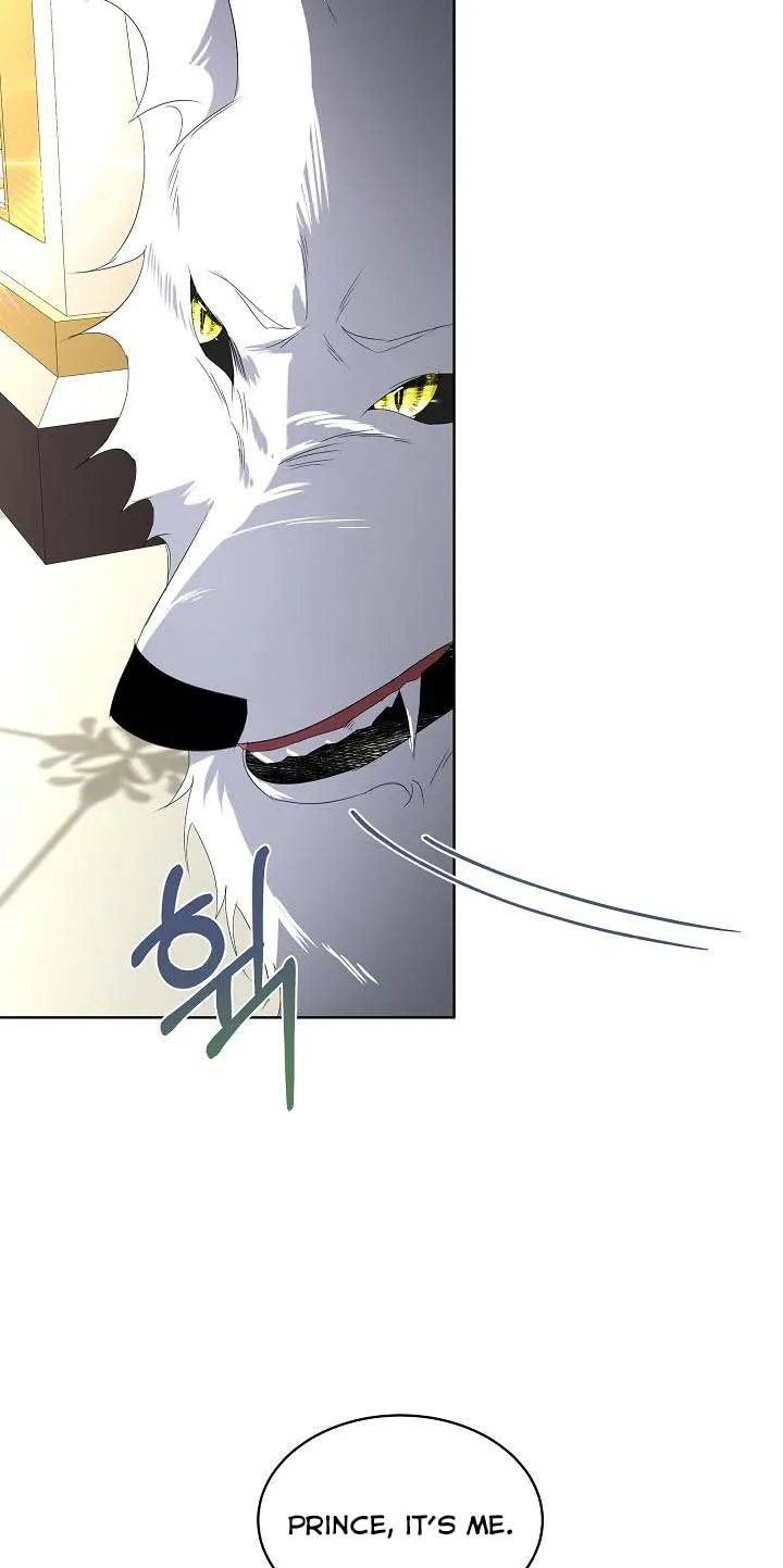 I will temporarily protect the male lead Chapter 6 Online - página 56
