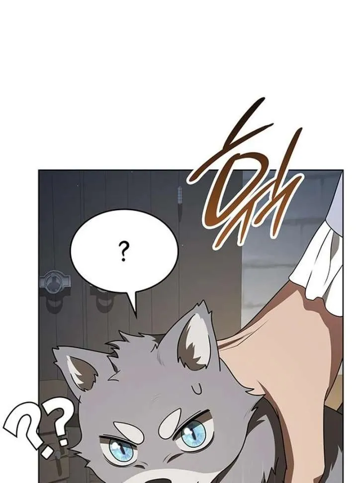 If You Want a Cheeky Sorceress Chapter 26 Online - página 205