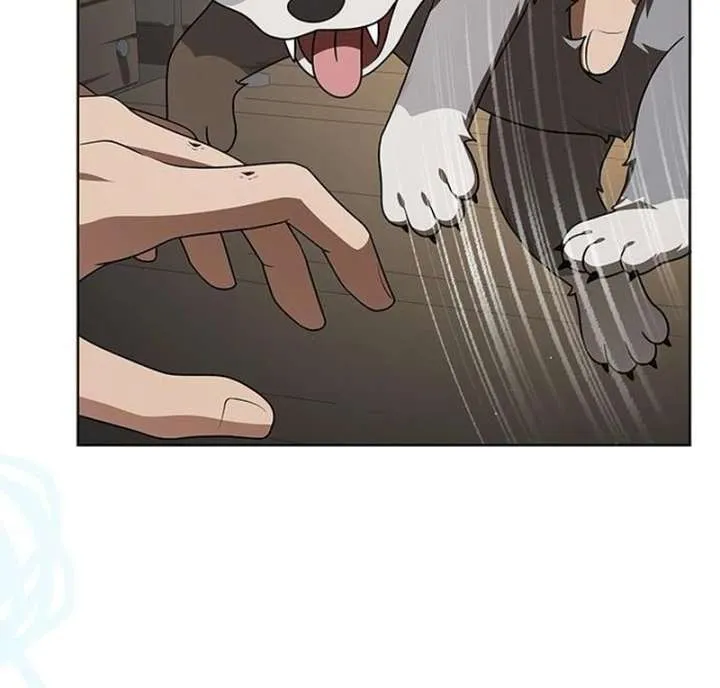 If You Want a Cheeky Sorceress Chapter 26 Online - página 206