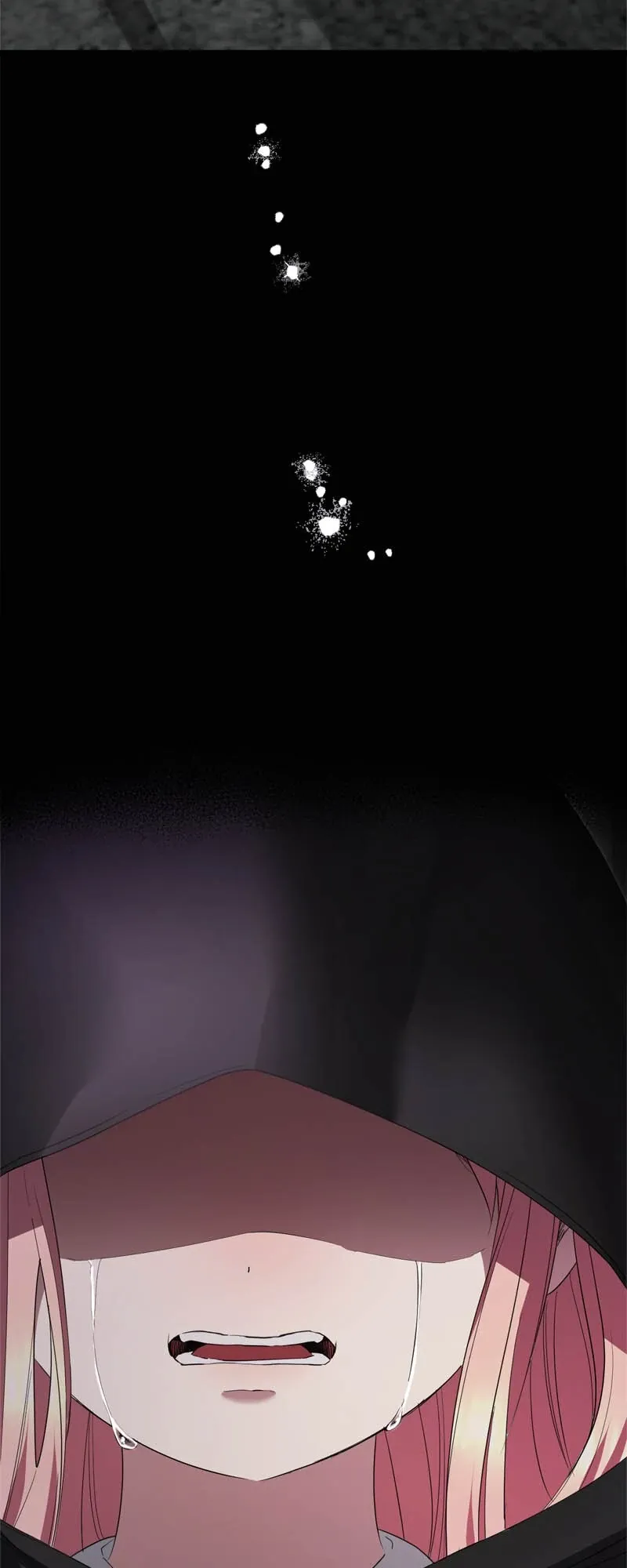 I’ll End This Engagement! Chapter 56 Online - página 44