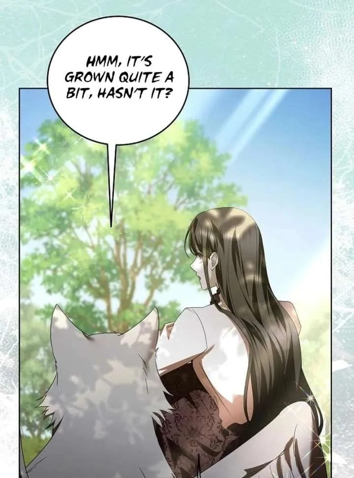 I’ll Take On This Marriage In This Life Chapter 53 Online - página 15