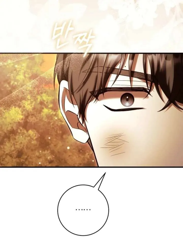 I’m an Extra Who’s Trying to Run Away from the Obsessive Male Lead Chapter 28 Online - página 66