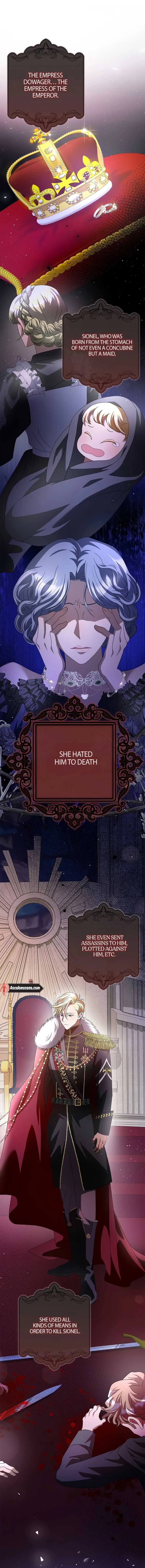 I’m In Trouble Because The Emperor Thinks I’m Terminally Ill Chapter 9 Online - página 17