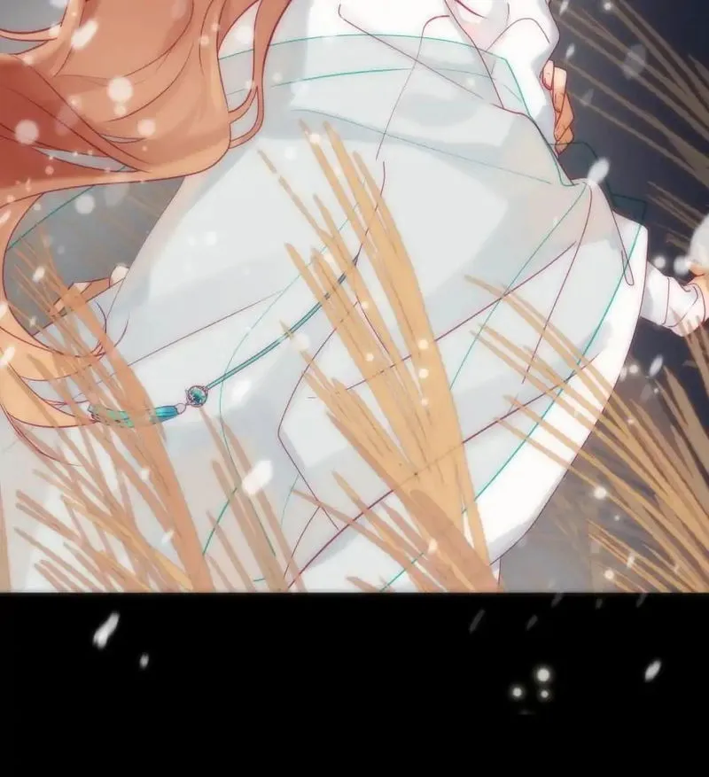 In Search of The Twelve Golden Hairpins Chapter 28 Online - página 9