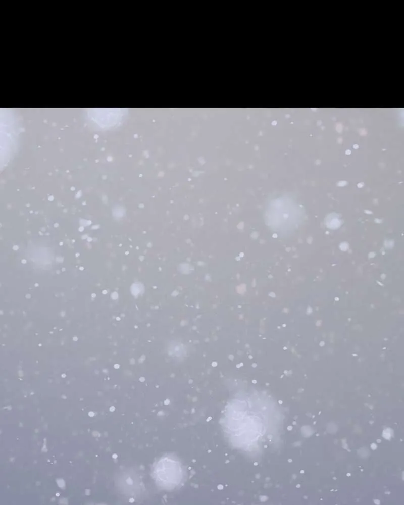 In the Bleak Midwinter Chapter 108 Online - pƔgina 71