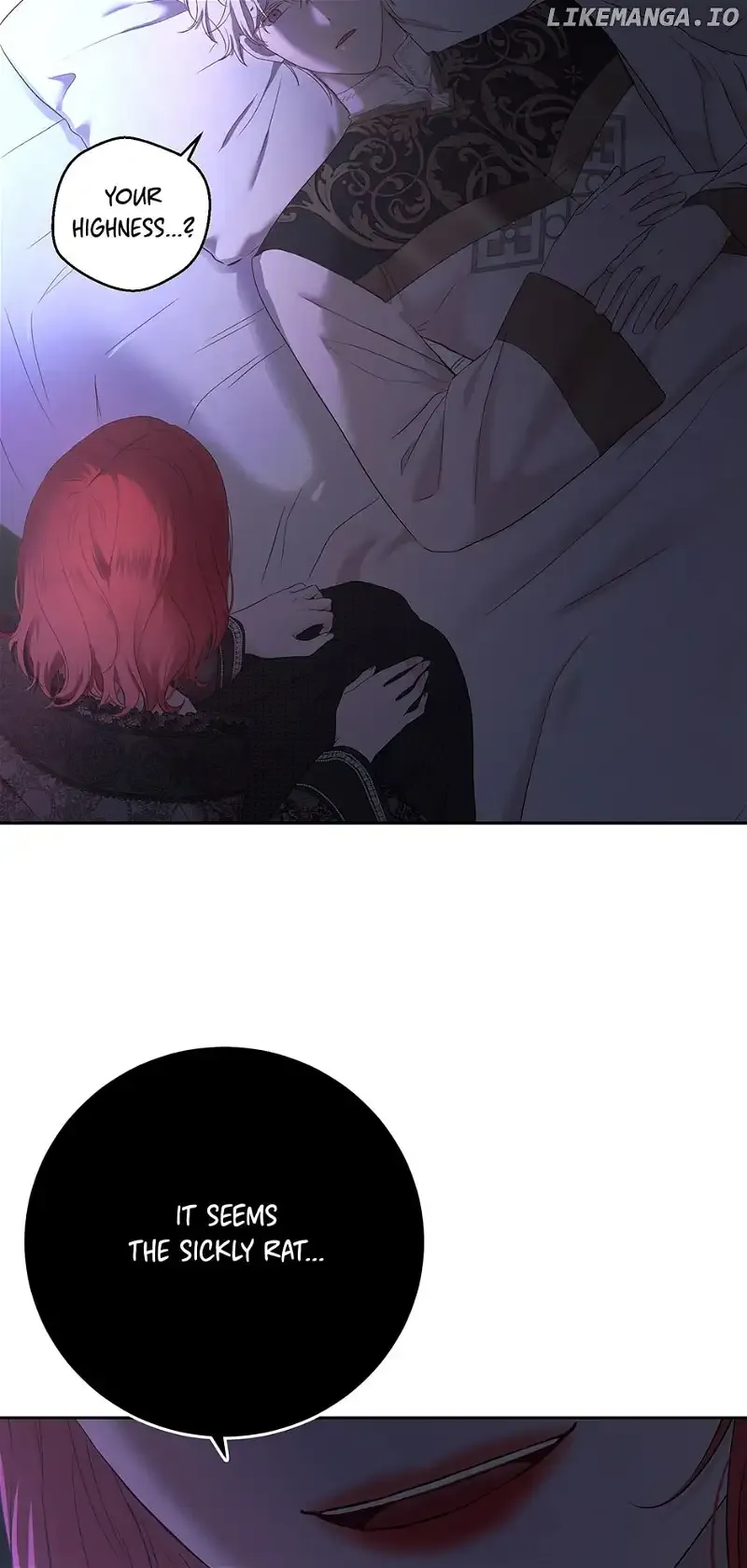 It Looks Like I’ve Fallen into the World of a Reverse Harem Game Chapter 115 Online - página 52
