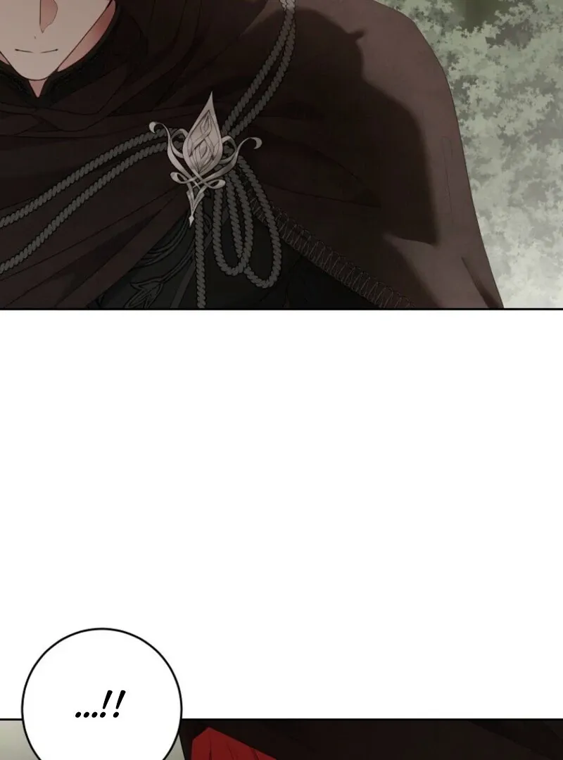 It Looks Like I’ve Fallen into the World of a Reverse Harem Game Chapter 156 Online - página 81