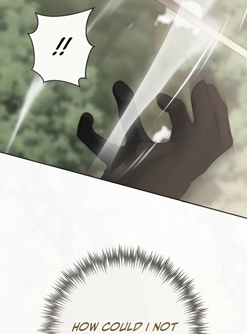 It Looks Like I’ve Fallen into the World of a Reverse Harem Game Chapter 156 Online - página 114