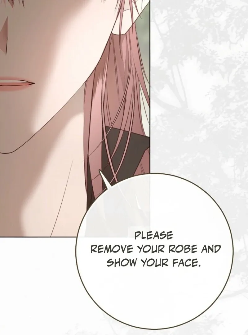 It Looks Like I’ve Fallen into the World of a Reverse Harem Game Chapter 156 Online - página 120