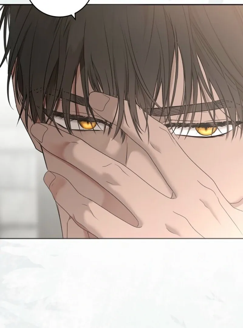 It Looks Like I’ve Fallen into the World of a Reverse Harem Game Chapter 157 Online - página 132