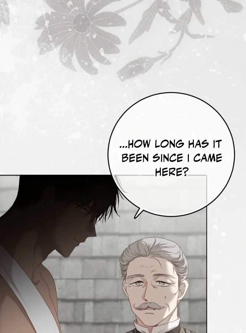 It Looks Like I’ve Fallen into the World of a Reverse Harem Game Chapter 157 Online - página 141