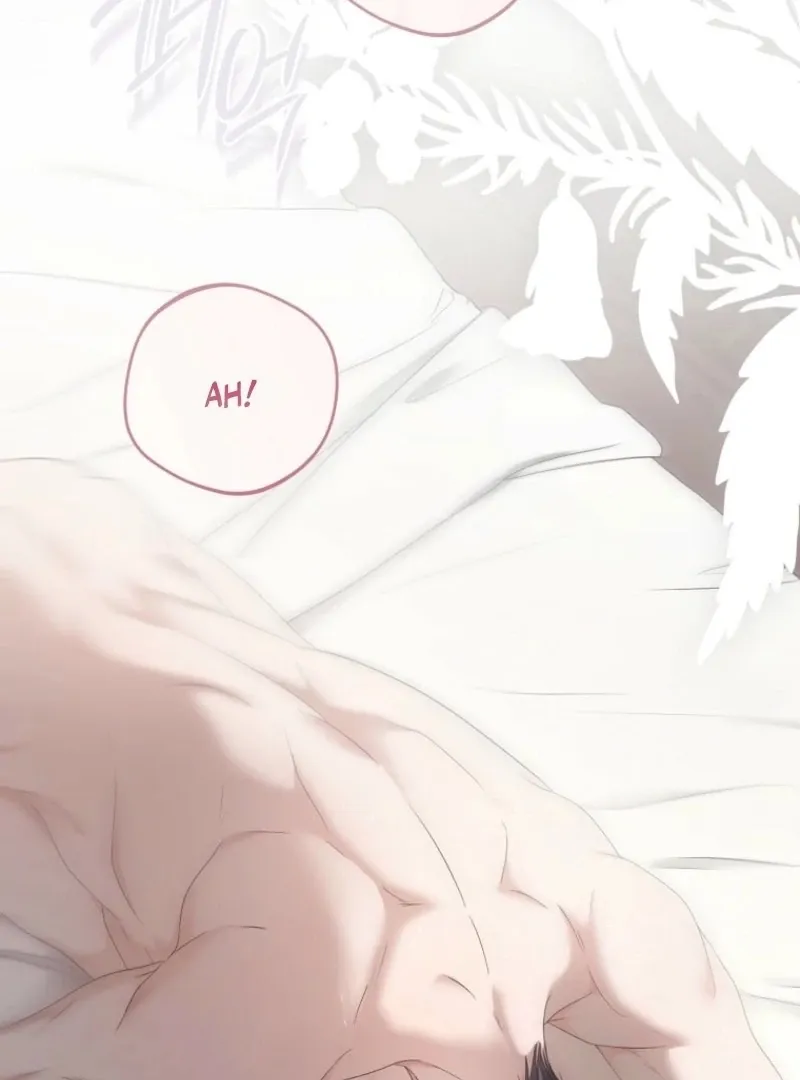 It Looks Like I’ve Fallen into the World of a Reverse Harem Game Chapter 158 Online - página 2