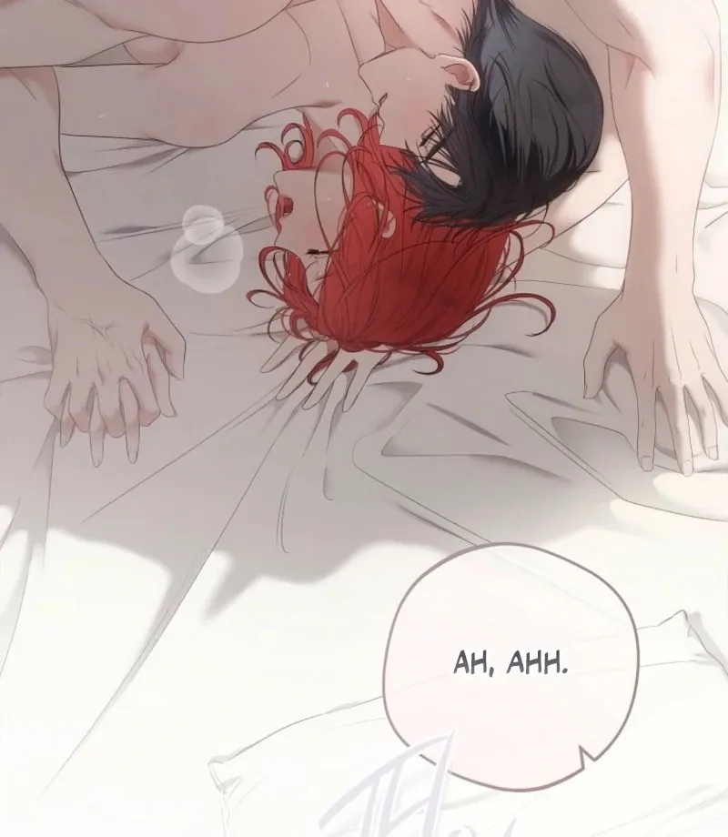 It Looks Like I’ve Fallen into the World of a Reverse Harem Game Chapter 158 Online - página 3