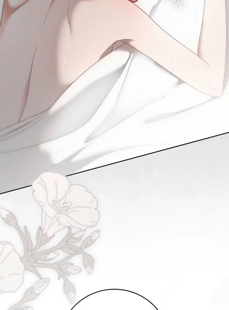 It Looks Like I’ve Fallen into the World of a Reverse Harem Game Chapter 158 Online - página 19