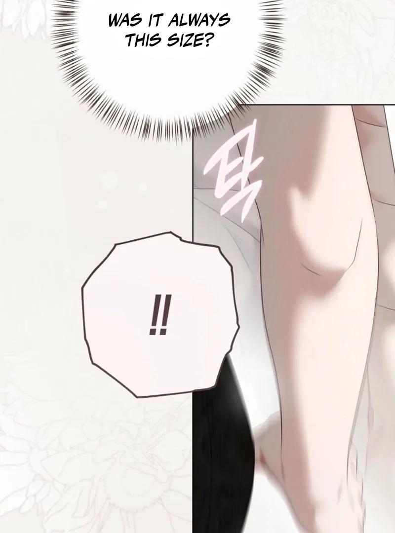 It Looks Like I’ve Fallen into the World of a Reverse Harem Game Chapter 158 Online - página 70