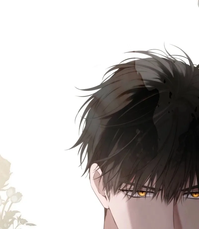 It Looks Like I’ve Fallen into the World of a Reverse Harem Game Chapter 159 Online - página 30