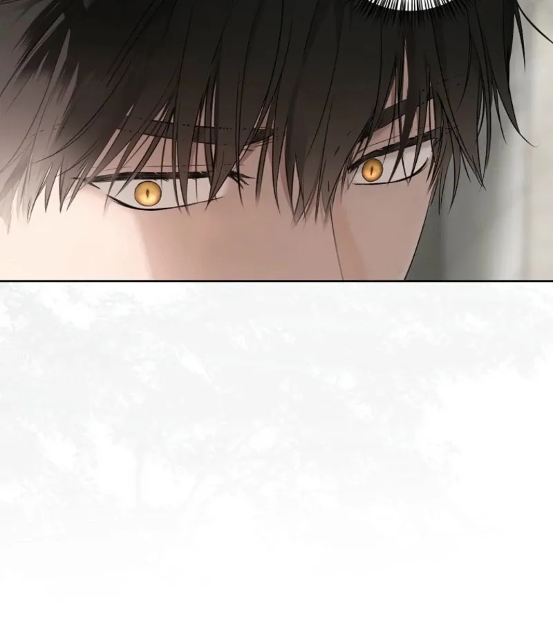 It Looks Like I’ve Fallen into the World of a Reverse Harem Game Chapter 159 Online - página 42