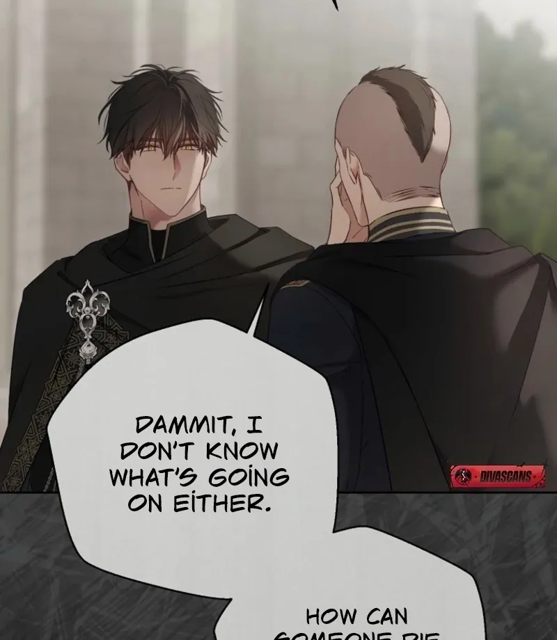 It Looks Like I’ve Fallen into the World of a Reverse Harem Game Chapter 159 Online - página 60