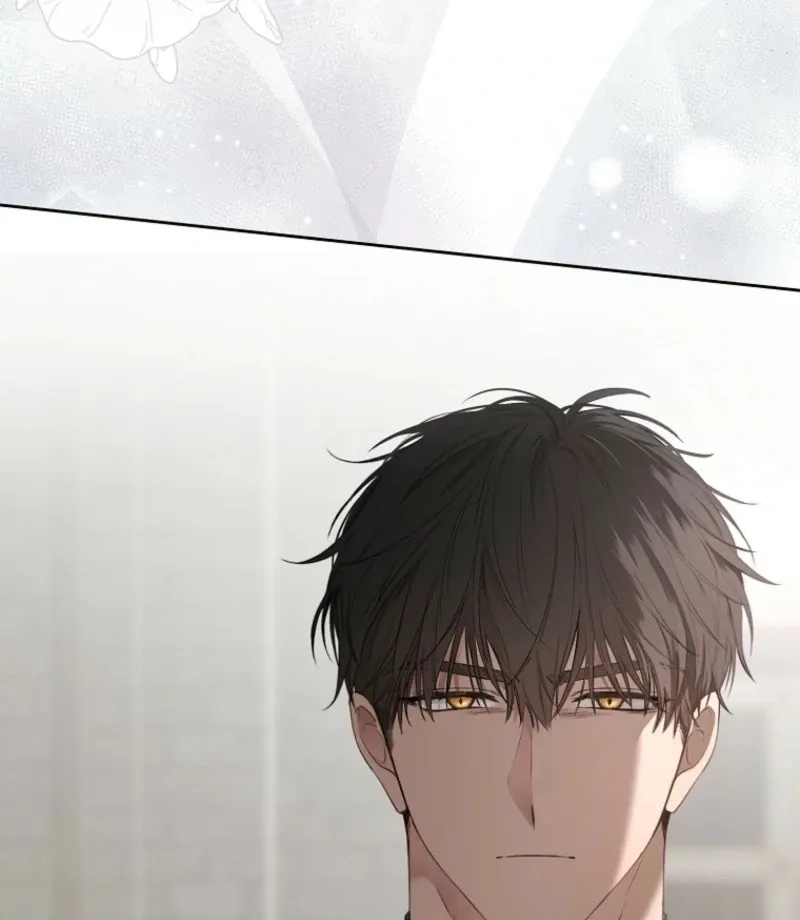 It Looks Like I’ve Fallen into the World of a Reverse Harem Game Chapter 159 Online - página 76