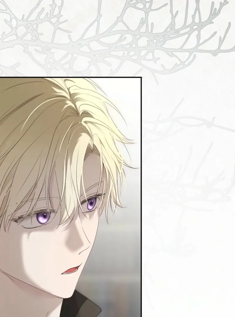 It Looks Like I’ve Fallen into the World of a Reverse Harem Game Chapter 161 Online - página 5