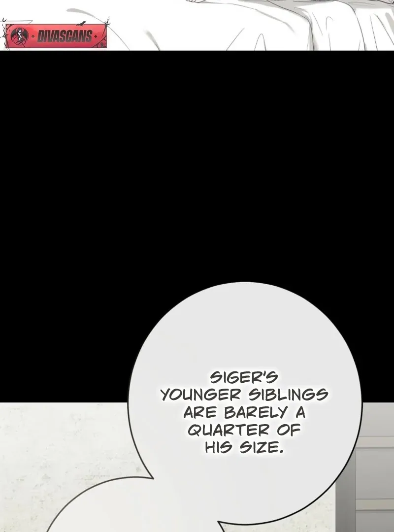 It Looks Like I’ve Fallen into the World of a Reverse Harem Game Chapter 161 Online - página 15