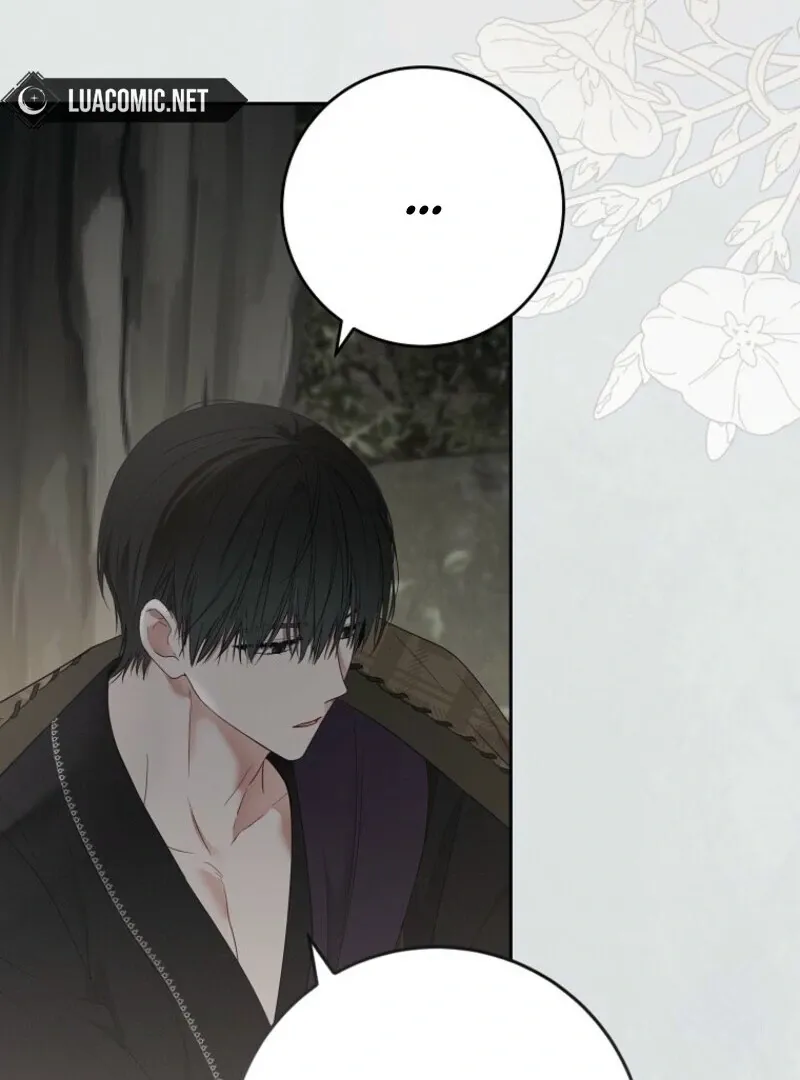 It Looks Like I’ve Fallen into the World of a Reverse Harem Game Chapter 162 Online - página 37