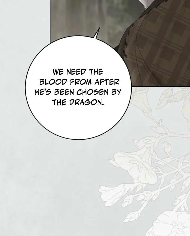 It Looks Like I’ve Fallen into the World of a Reverse Harem Game Chapter 162 Online - página 55