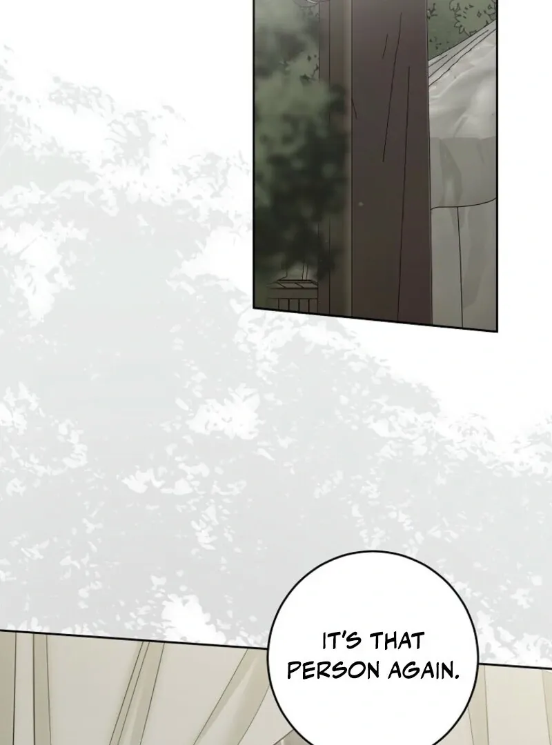 It Looks Like I’ve Fallen into the World of a Reverse Harem Game Chapter 162 Online - página 121