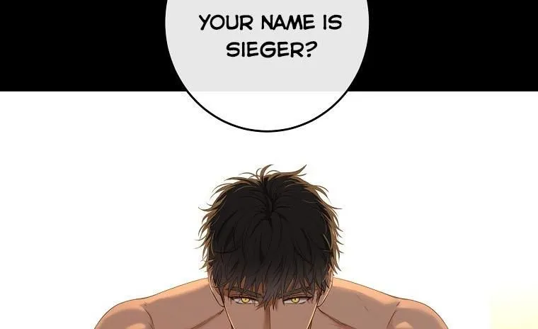 It Looks Like I’ve Fallen into the World of a Reverse Harem Game Chapter 60 Online - página 6