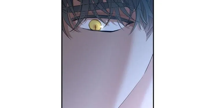 It Looks Like I’ve Fallen into the World of a Reverse Harem Game Chapter 60 Online - página 141