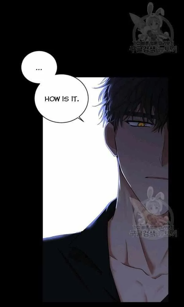 It Looks Like I’ve Fallen into the World of a Reverse Harem Game Chapter 70 Online - página 25