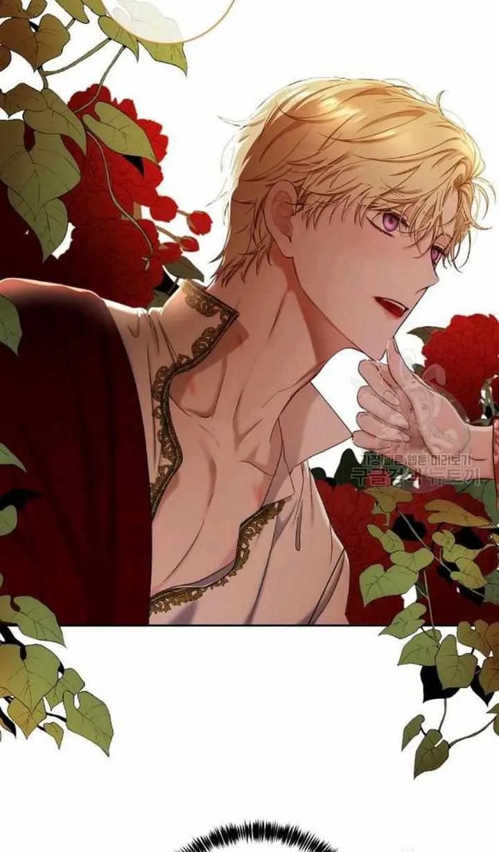 It Looks Like I’ve Fallen into the World of a Reverse Harem Game Chapter 73 Online - página 54