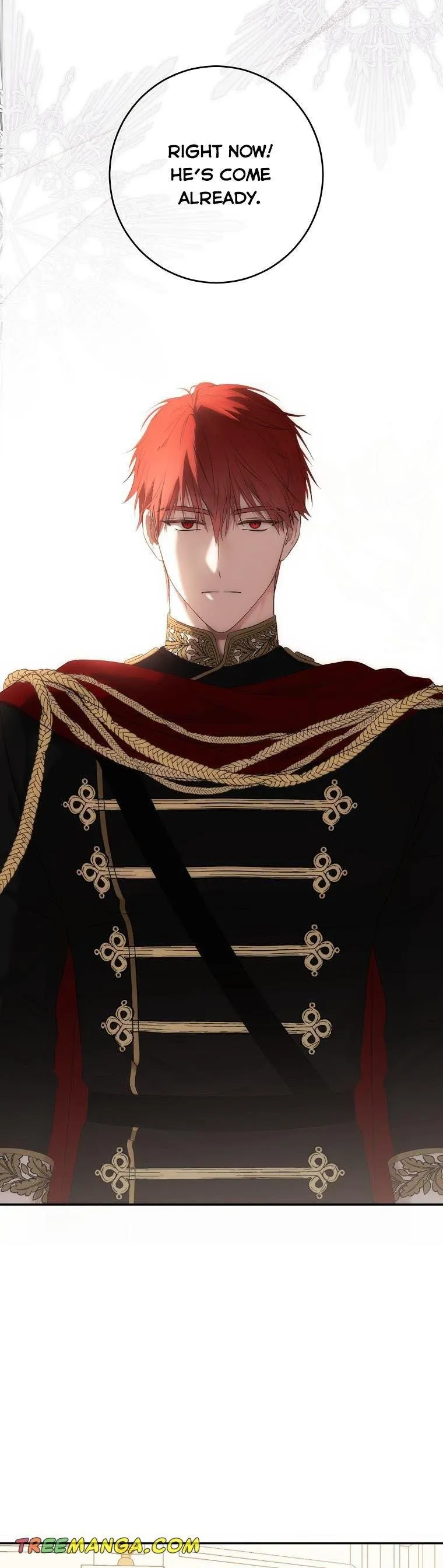 It Looks Like I’ve Fallen into the World of a Reverse Harem Game Chapter 87 Online - página 29