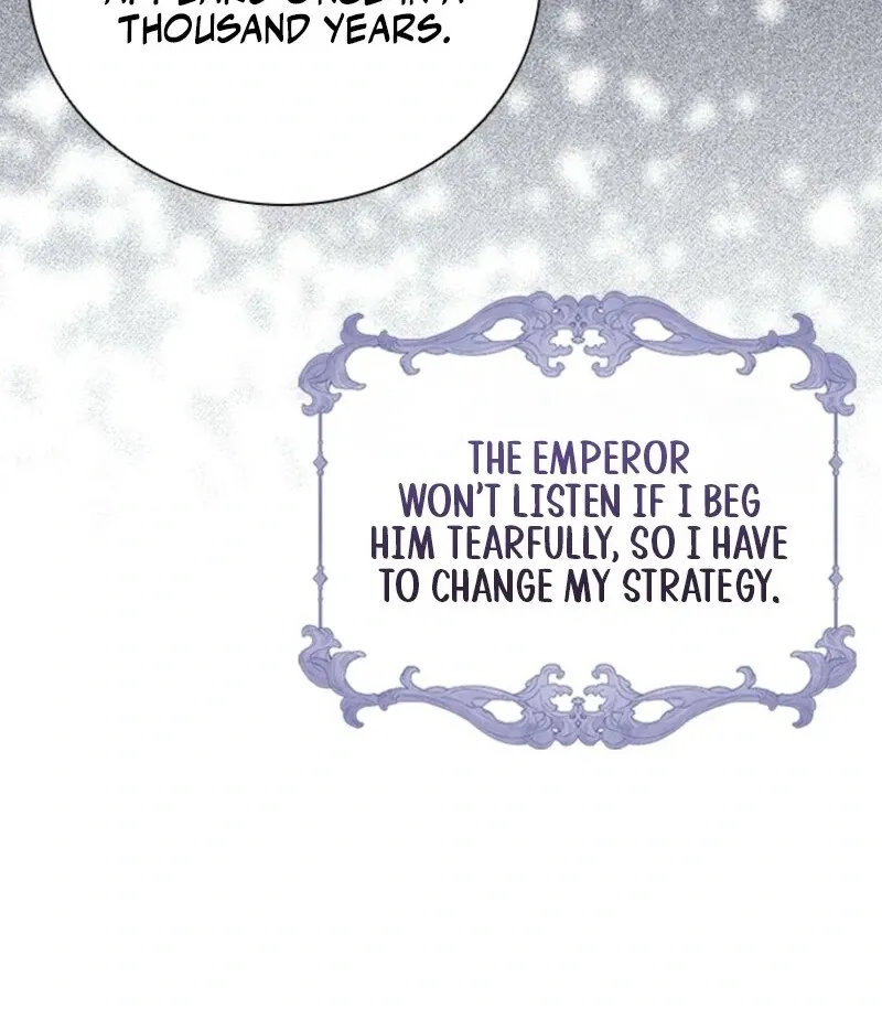 It’s Annoying Because My Childhood Friend Is An Archmage Chapter 34 Online - página 50