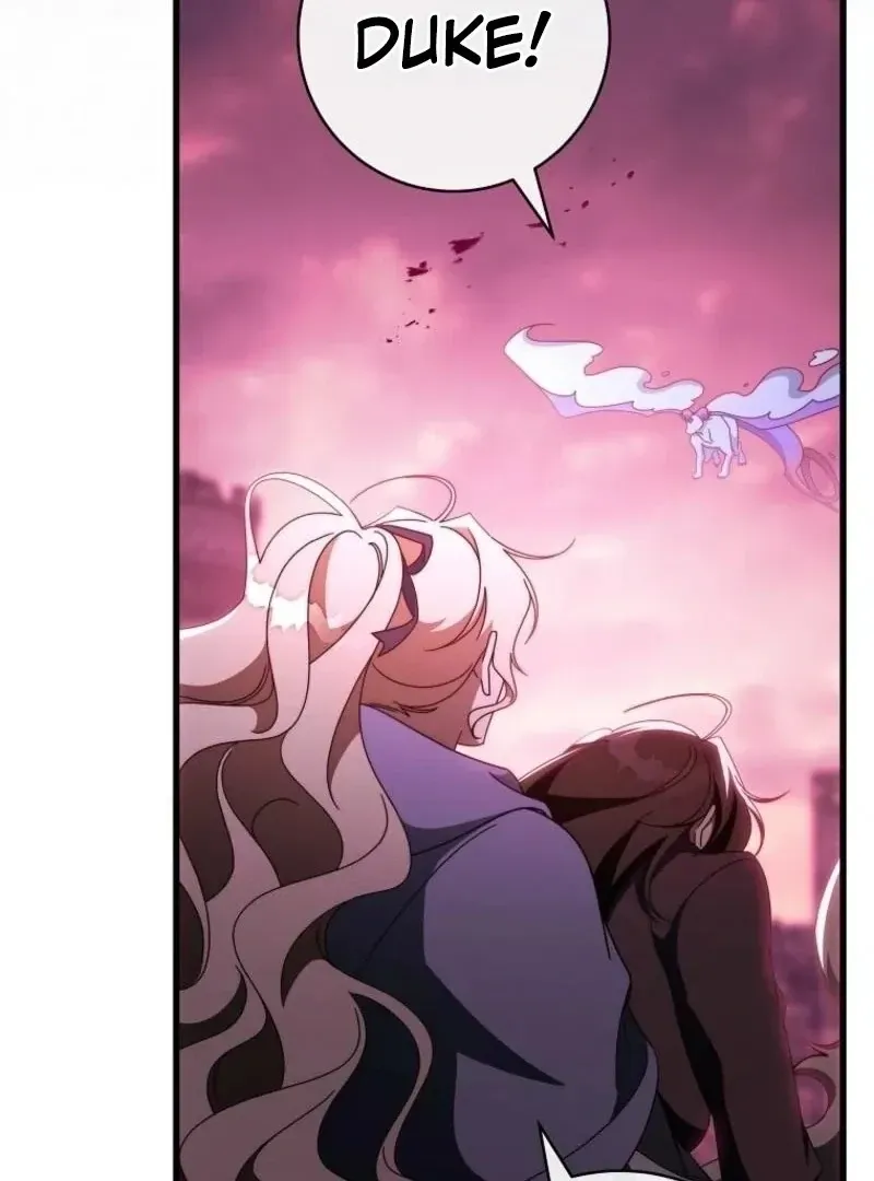 It’s My Destiny To Be The Hero’s Saviour Chapter 146 Online - página 17