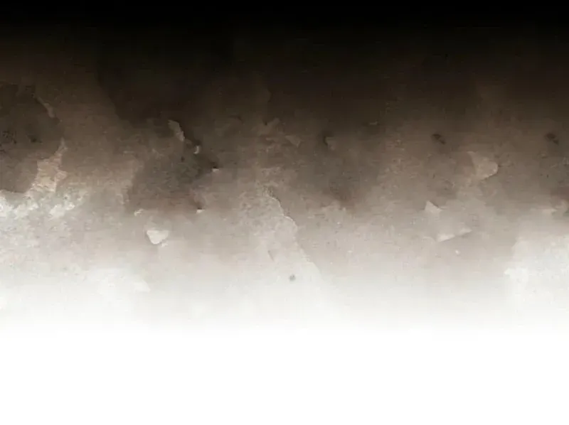 It’s My Destiny To Be The Hero’s Saviour Chapter 146 Online - página 55