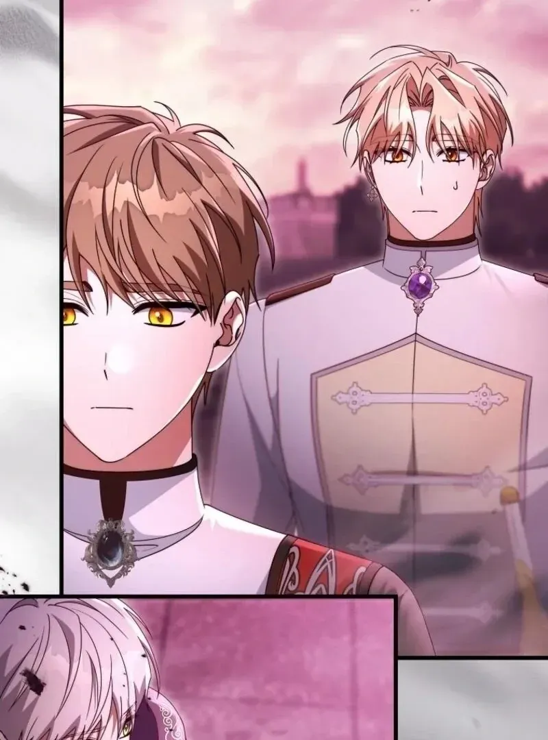 It’s My Destiny To Be The Hero’s Saviour Chapter 146 Online - página 88
